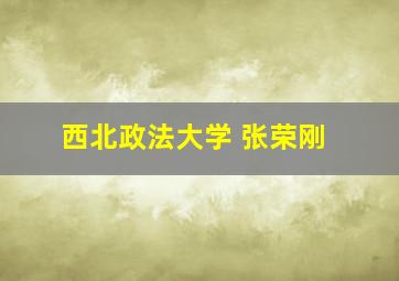 西北政法大学 张荣刚